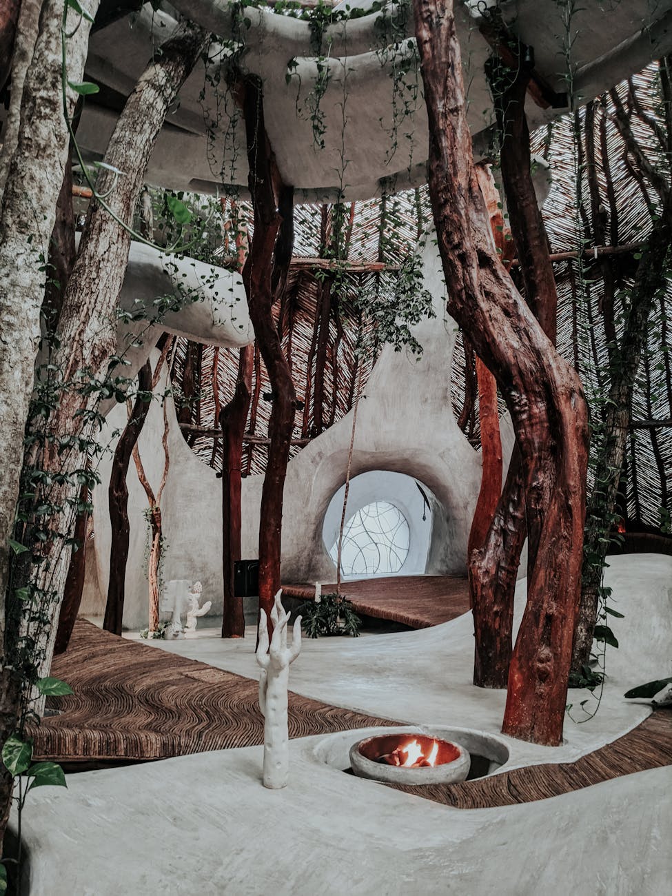 creeping plants on arched inside art galery